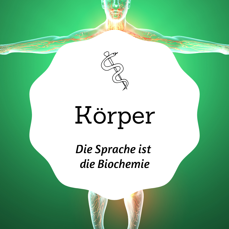 Körper-4